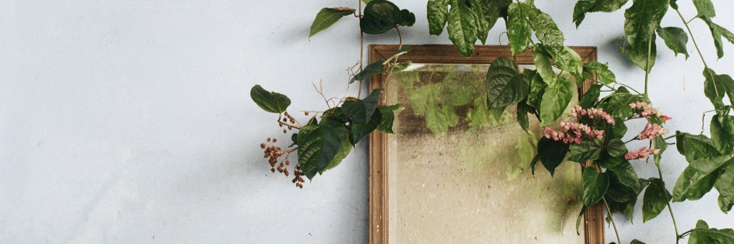 emilydaub25's profile banner image
