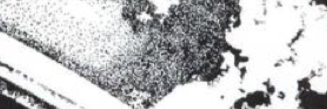Nick_Robbins86's profile banner image