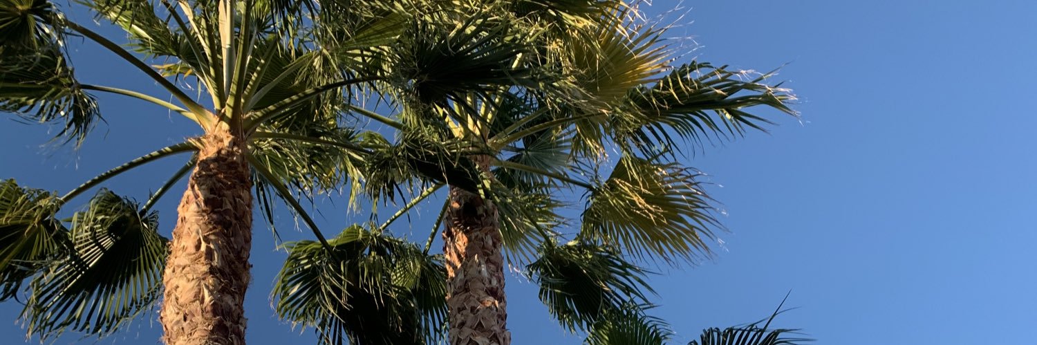 chloe paschal banner