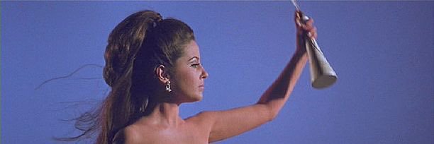 Ann Foster banner