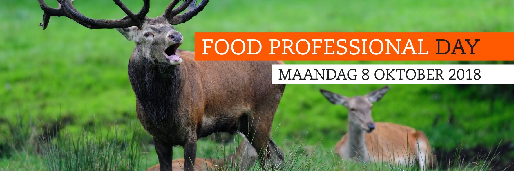FoodProfDay's profile banner image