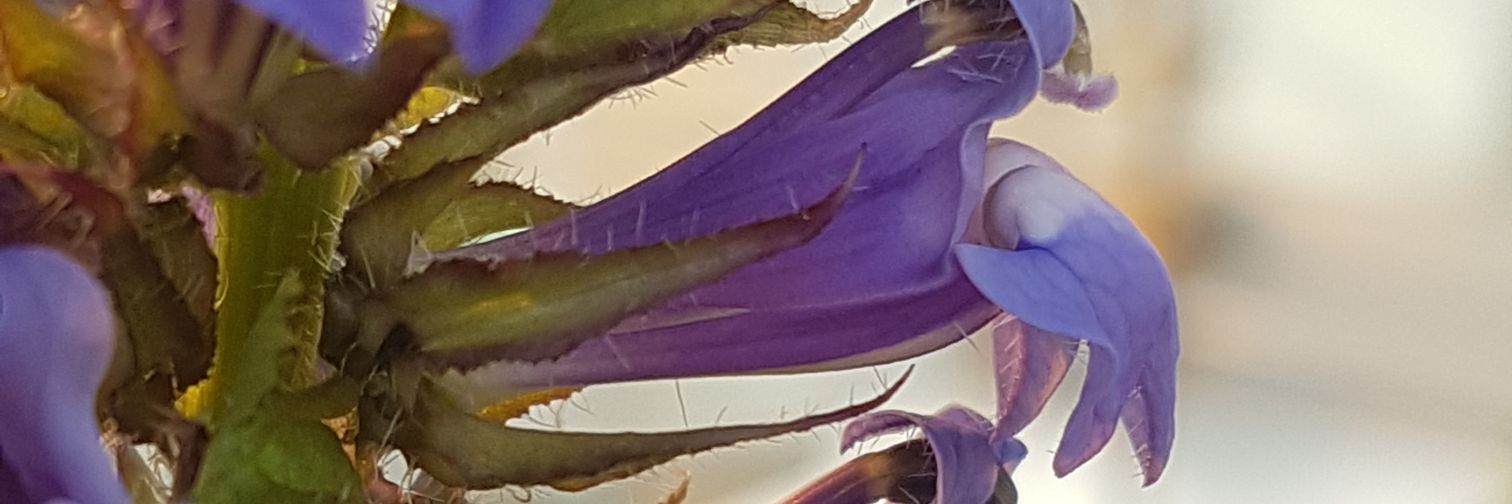 GavinHossack's profile banner image