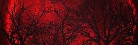 LoretoEstrada's profile banner image