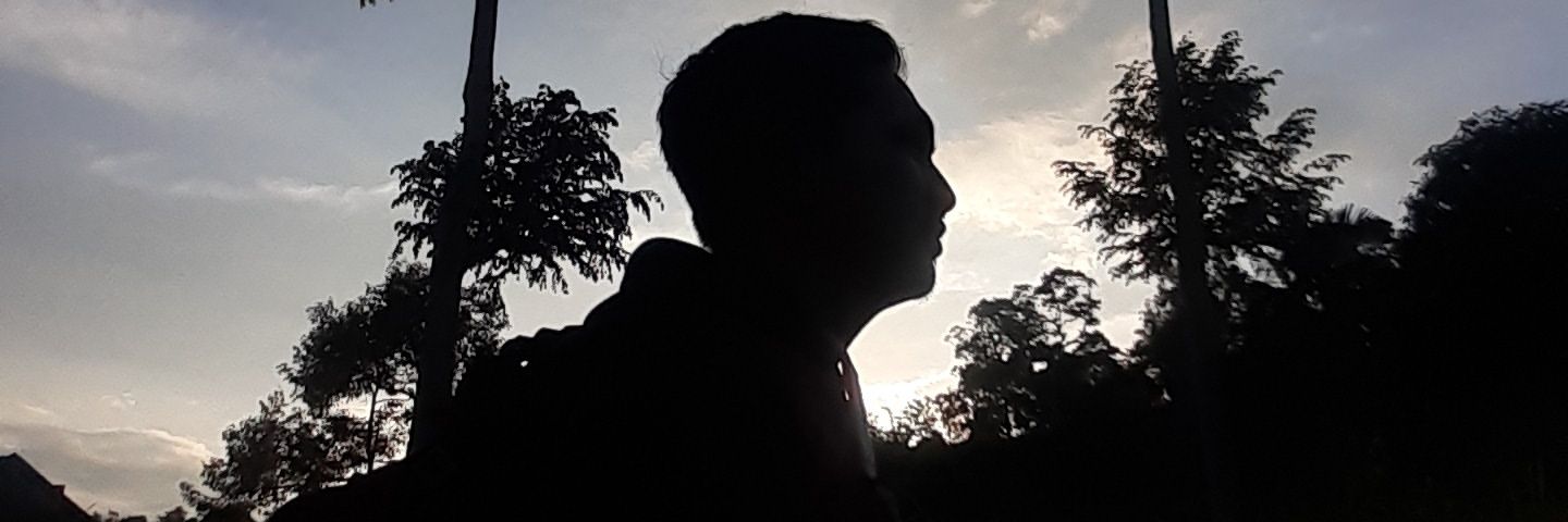 budifadjrin's profile banner image