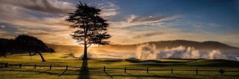 Michael Vrska banner