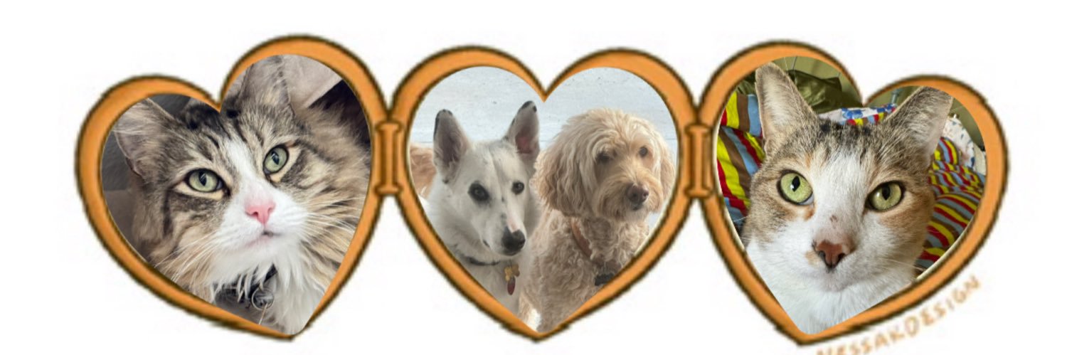 cxri13's profile banner image