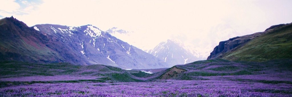 NinaFun's profile banner image