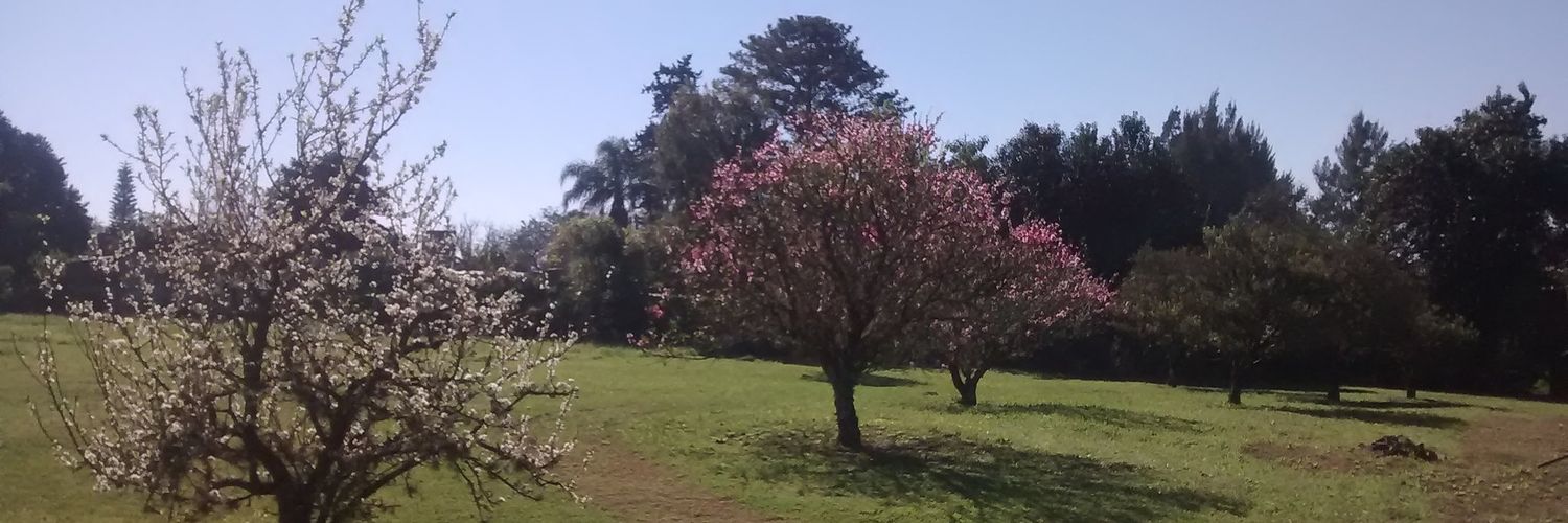 pablosebasgl's profile banner image