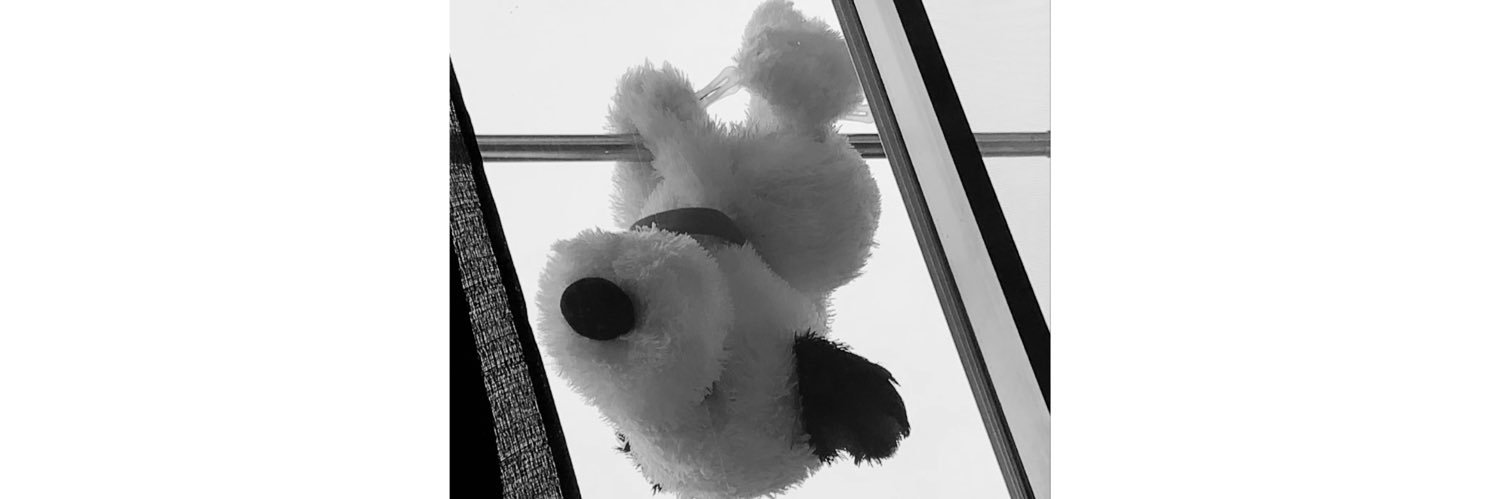 dbdb325251's profile banner image