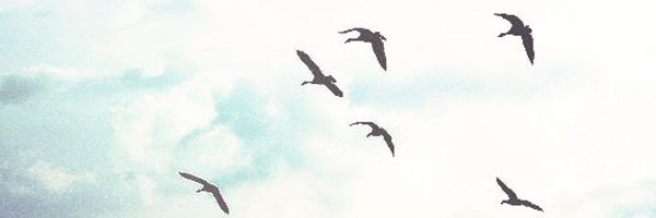 Val_iu's profile banner image