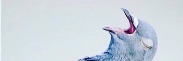 teemeeboy21's profile banner image