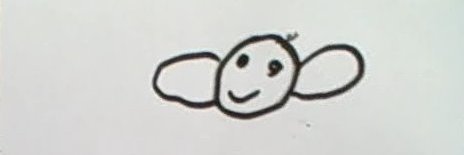 debhoef's profile banner image