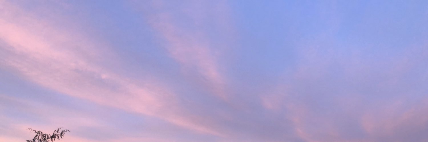 skyforwilkinson's profile banner image