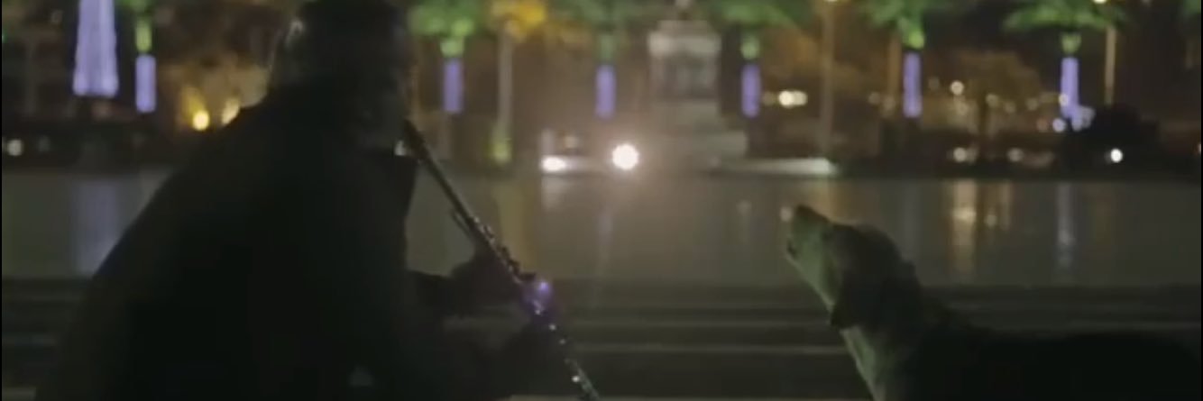 Tarık Buğra Elçitepe banner