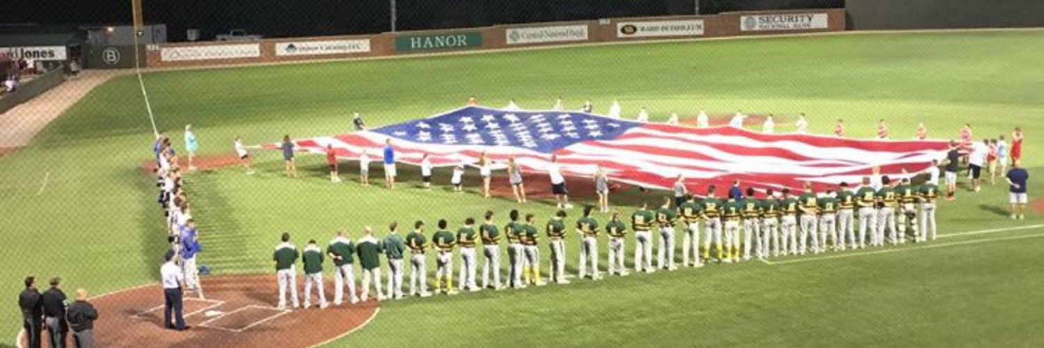 Mercer Baseball banner