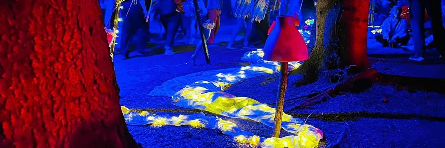 Przemysław Frasunek 🇵🇱🇪🇺 banner