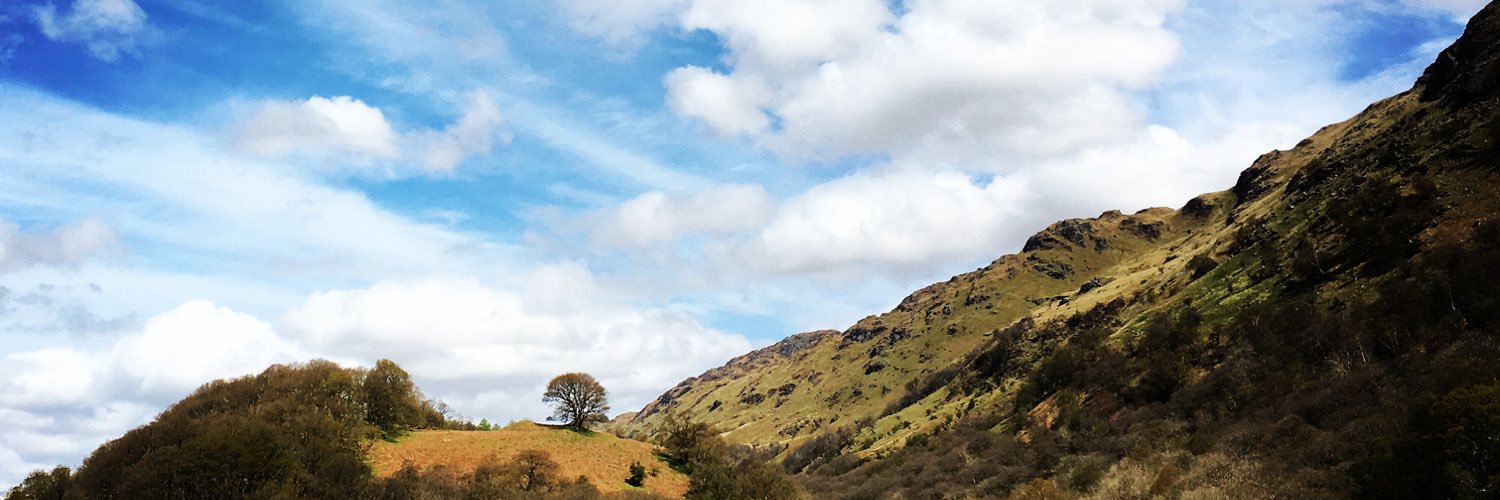 Scotlands_Wild's profile banner image