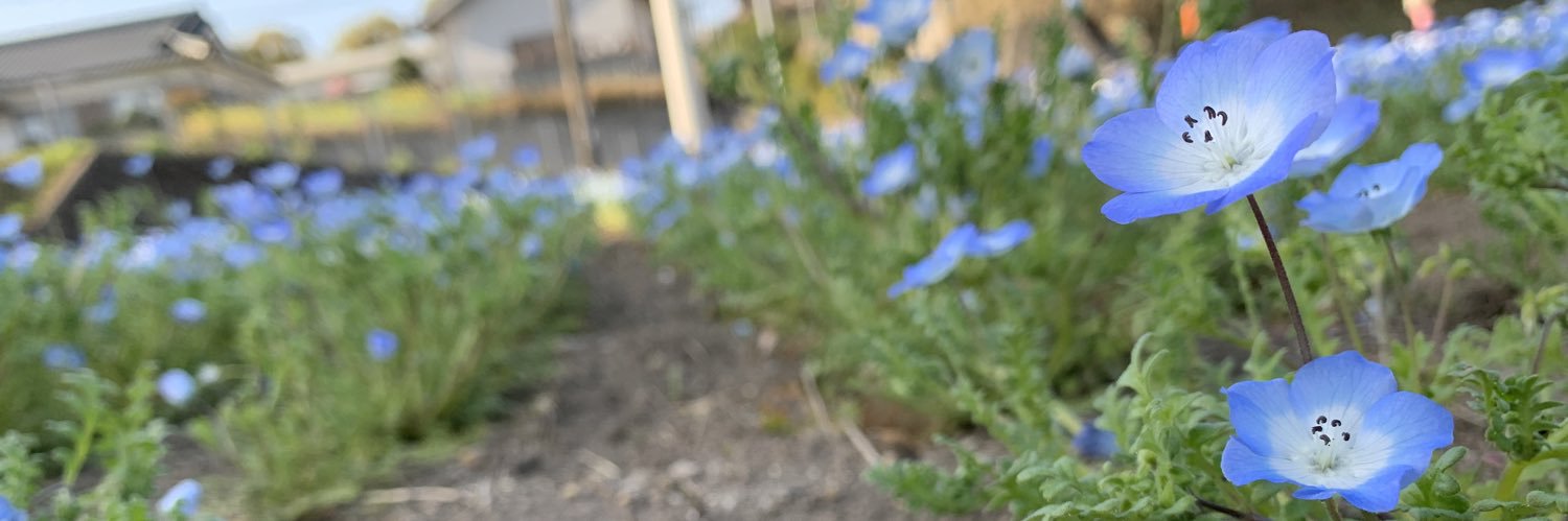 0314_Spring's profile banner image