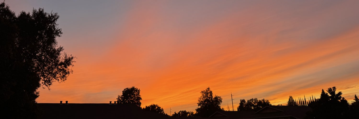 neothetranquil's profile banner image