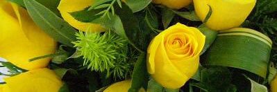 susana883's profile banner image