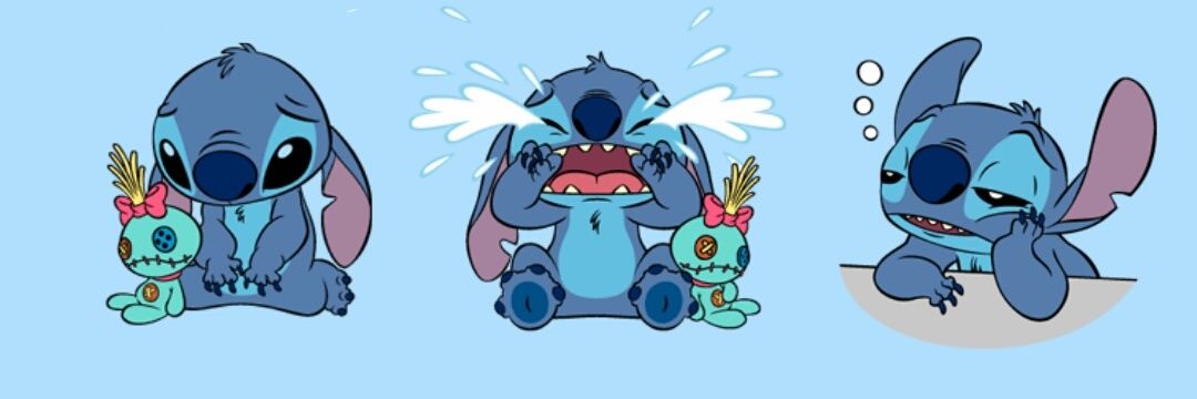 rose2543c's profile banner image