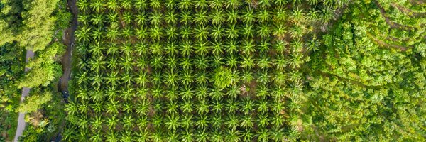 Aidenvironment Profile Banner