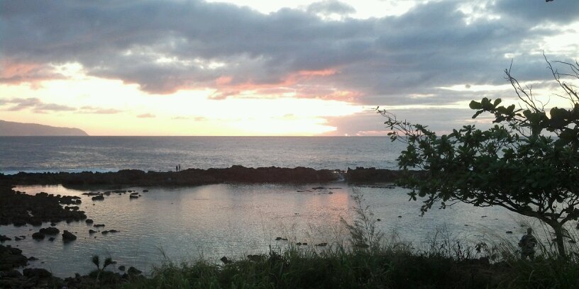 Ltd.Ed Bran (限定版ブラン) banner