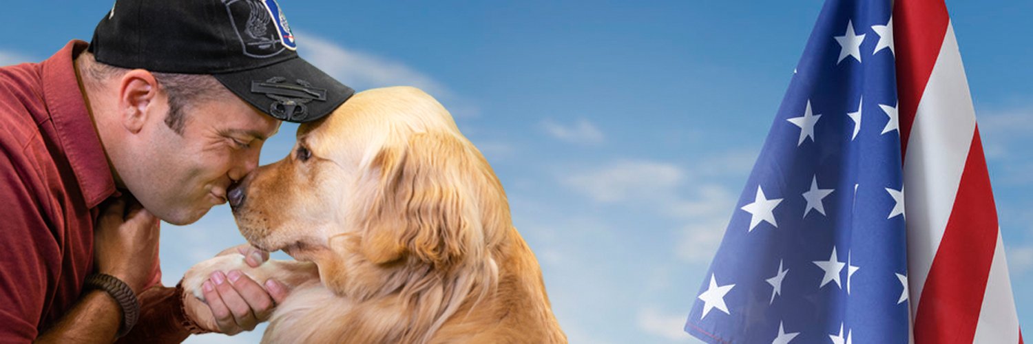 PAWSDogs_Naples's profile banner image