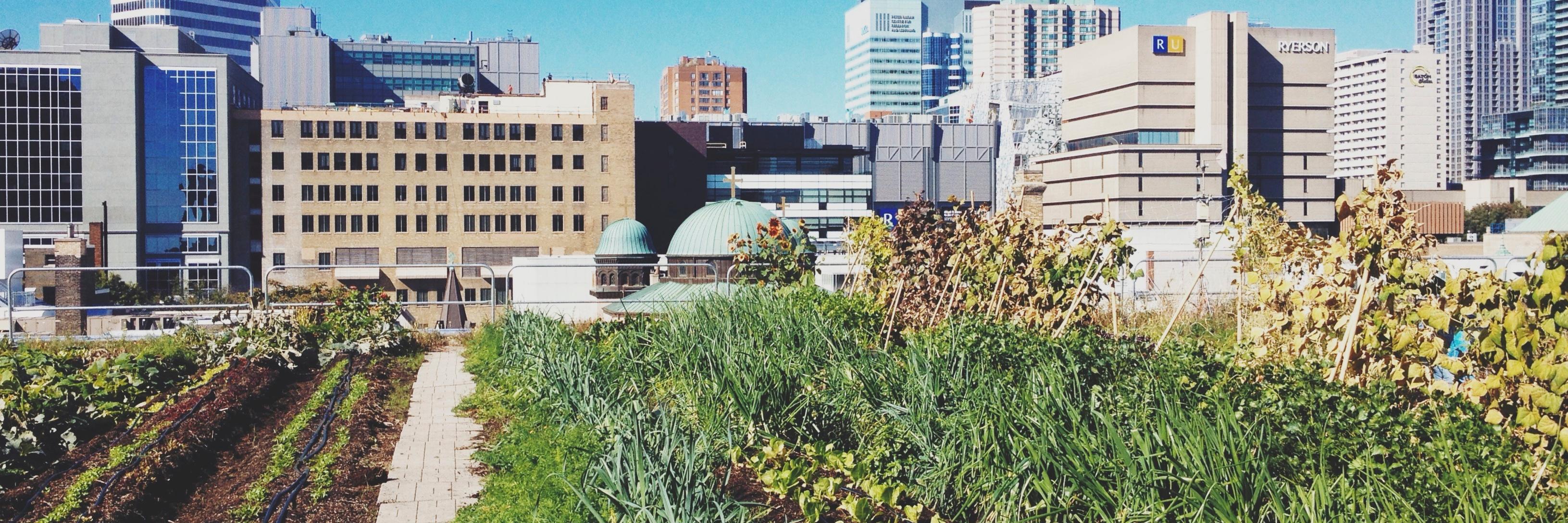 CSFSRyerson's profile banner image
