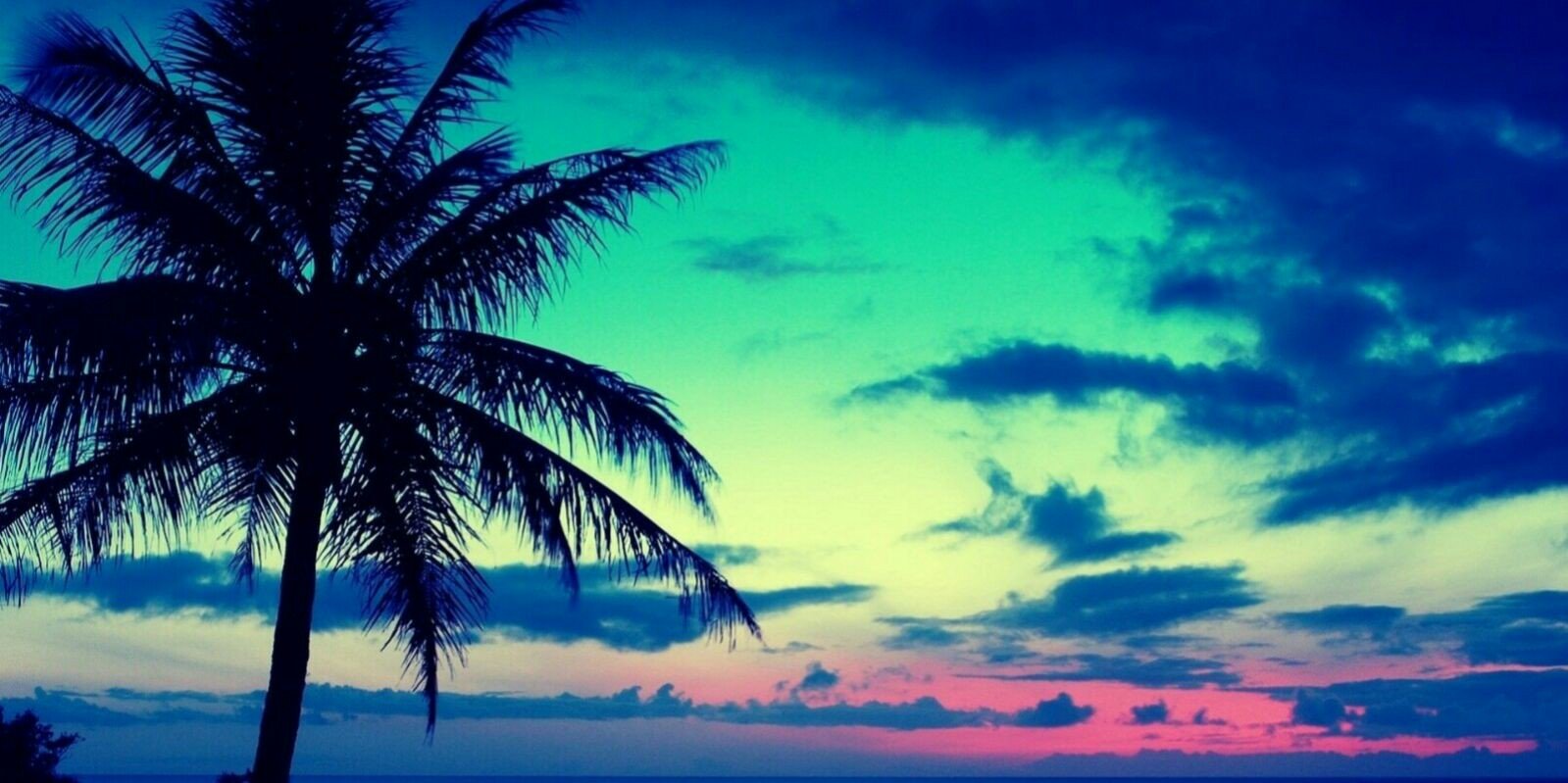 victor_DV's profile banner image