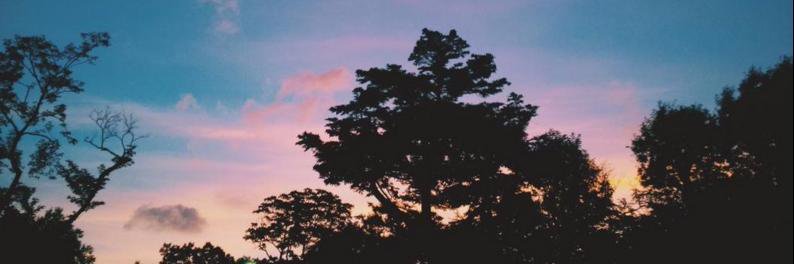 yuki940201's profile banner image