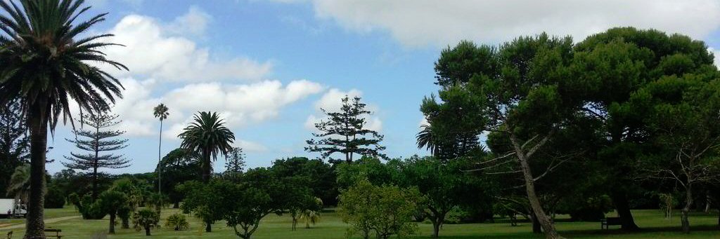 AP Williams 🇿🇦 banner