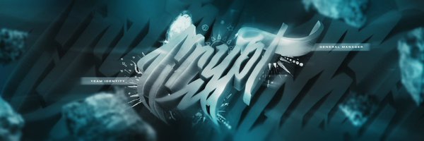 nsl Profile Banner