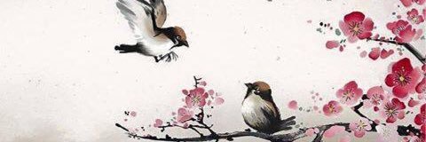 aumsuliman94's profile banner image