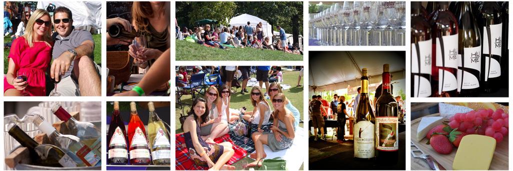 GreatGrapesFest's profile banner image