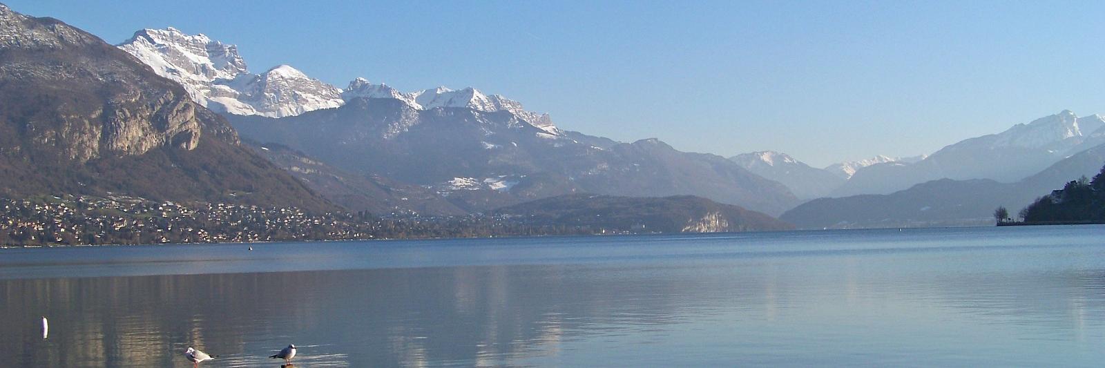 Pierce de Trift banner