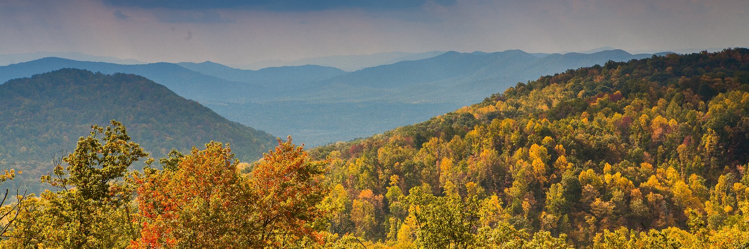 Patty Buckner banner