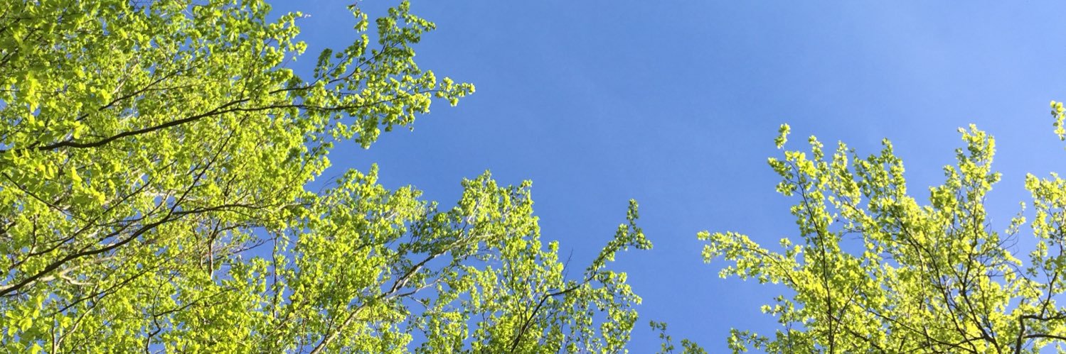 LottenMD's profile banner image