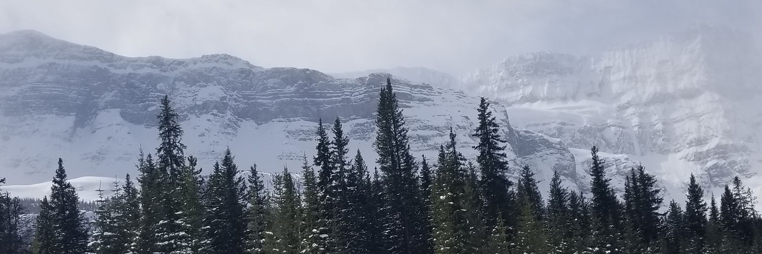 jlflow09's profile banner image