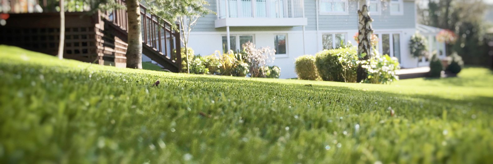 The Green Project (@GreenProLand) / Posts / X