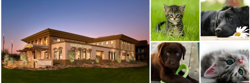 AMSCScottsdale's profile banner image