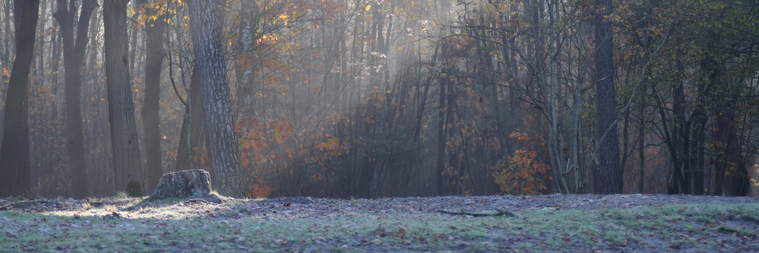 Bas van Beers banner