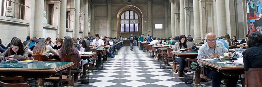 Soledad Abarca banner