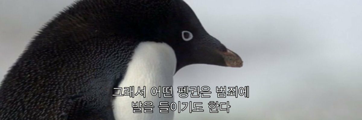ratedbyr's profile banner image