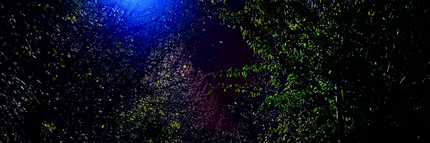 moha_salmy's profile banner image