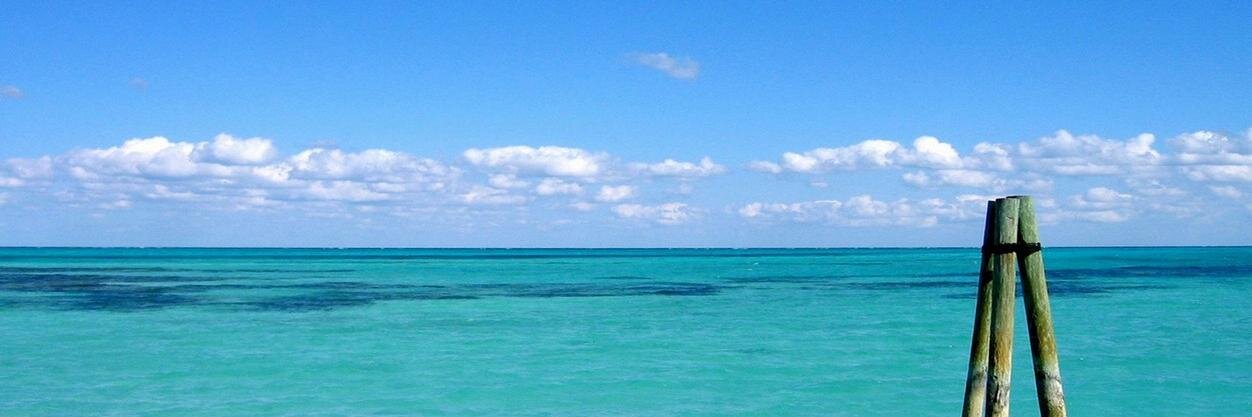 mandlandtache's profile banner image