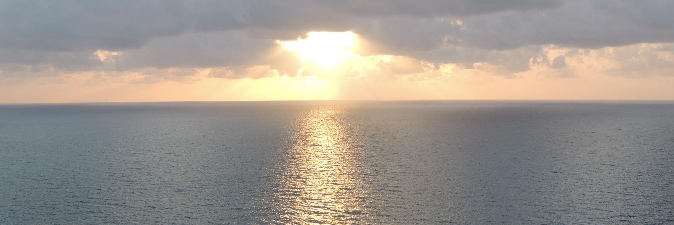 EdO'Donnell FLUSAcom banner