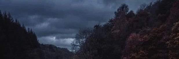 holyMj's profile banner image