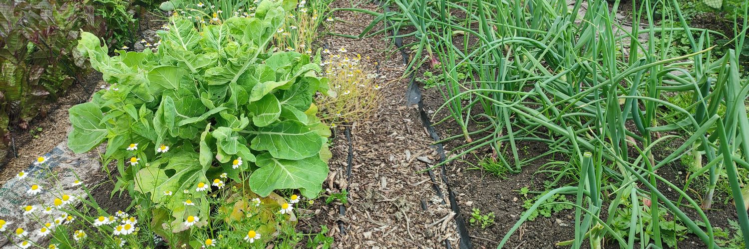 EdiblesWYorks's profile banner image