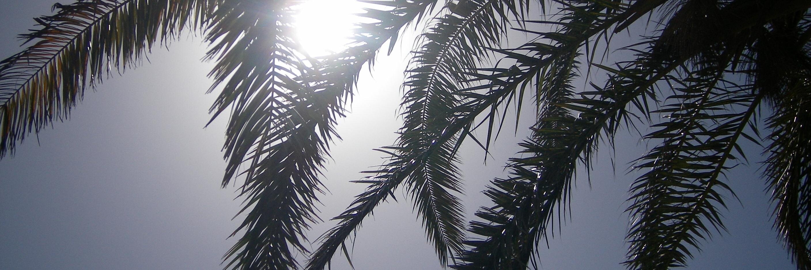 derwittler's profile banner image
